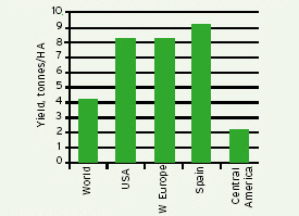 Comparing maize yield across the globe