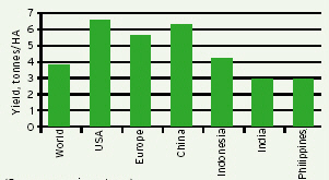 Comparing rice yield across the globe